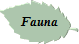 Fauna